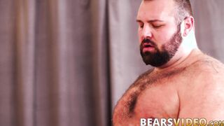 Drilling the ass hole of a adorable big booty bear real deep