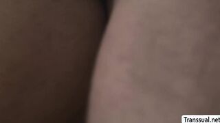 Lovely Ladyboy gets rimjob and analed by cute friend