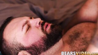 Bear stud takes a dick inside of his tight little butt hole