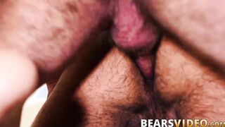 Hairy hunk daddies bareback fucking relentlessly