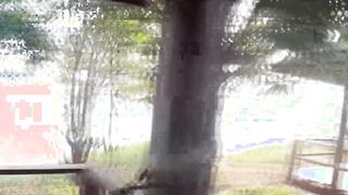 Ajak Istri Teman Ke Hotel
