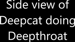 Silicone masked cat