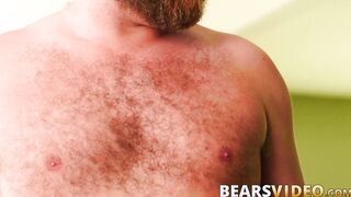 Stunning bear Roman Delaney barebacked and blowing big dick