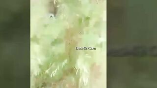 Indian Outdoor ass fucking for more video join our telegram channel @desi41