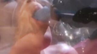 Gorgeous BDSM babe Alexis Amore hardcore whipping pussy play