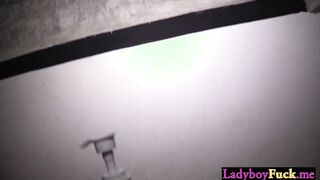 Perfect Thai shemale enjoyed anal sex