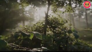 Indian New Hunter Web Series 2 for more video join our telegram channel @desi41