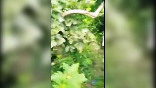 Desi Indian Outdoor sex