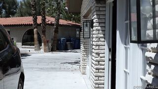 Concealed Door