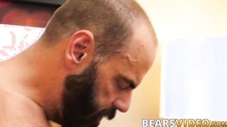 Bearded bears asshole pounded hard after cock sucking