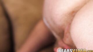 Bears and their lovers enjoy raw fucking and rimming action