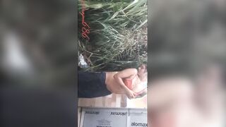 Indian Couple Fucking For More Video visite : pbntime.com