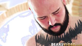 Bear daddies enjoy rimming before bareback ass slamming