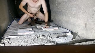 Sex with ants