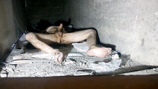 Sex with ants