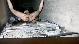 Sex with ants
