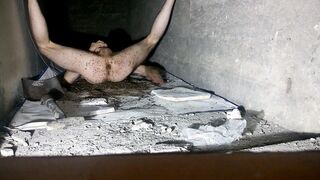 Sex with ants