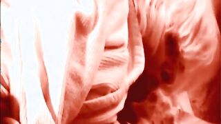 hot hot video
