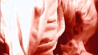 hot hot video