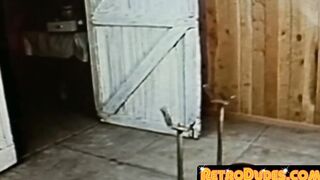 after hot blowjobs vintage bareback doggystyle pounding