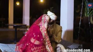 Newl Merrid Bhabhi Fest Night sex