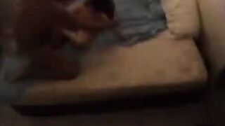 Namorada novinha gostosa