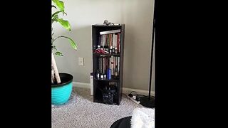 August Skye Fucked after the First Date!
