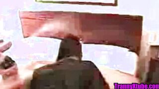 Ashely Hunter Vintage Tranny
