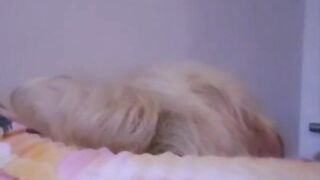 Tape for cuckold - fiance making out with gf and more