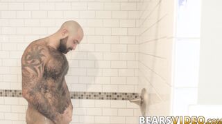 Atlas Grant shows off that bear body and tugs on his dick