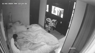 Swinger IP web cam