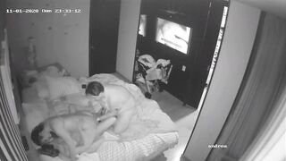 Swinger IP web cam