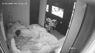 Swinger IP web cam