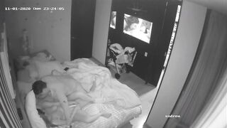 Swinger IP web cam