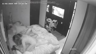 Swinger IP web cam