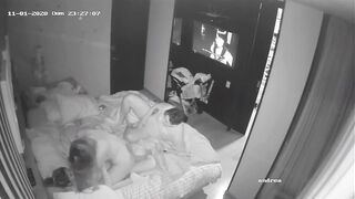 Swinger IP web cam