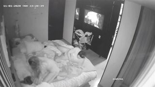 Swinger IP web cam