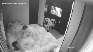 Swinger IP web cam