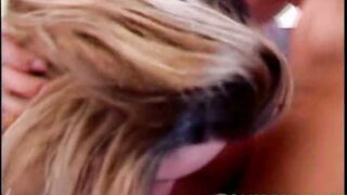 JOUIKEMON ET MYSBOXMOUTH à une grosse bite coincé dans la chatte et dans le cul d'une