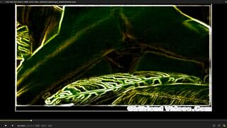 HOT HOT HIDDENCAM SEX VIDEO