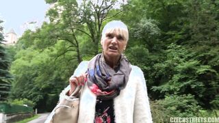 Czech Streets 113 Tour guide from Karlstejn