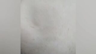 Hard Cock Promiscuity For Slutwife Karly 1