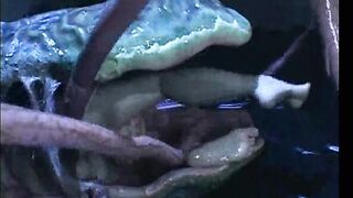The Craziest Tentacle Porn Ever