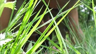 SECRET INTO THE GRASS