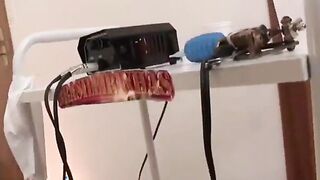 Novinhas gostosas do rabão fudendo