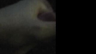 LARUCHATToADO  la poésie du clito