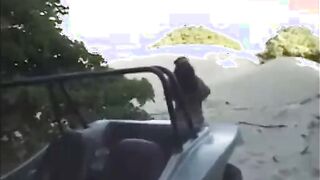 Novinhas gostosas do rabão fudendo