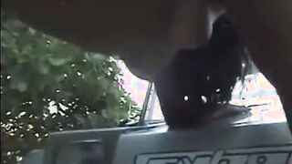 Novinhas gostosas do rabão fudendo