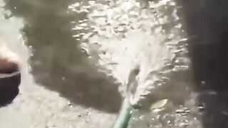 Novinhas gostosas do rabão fudendo