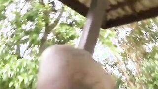 Morena gostosa do rabão fudendo com o dotado